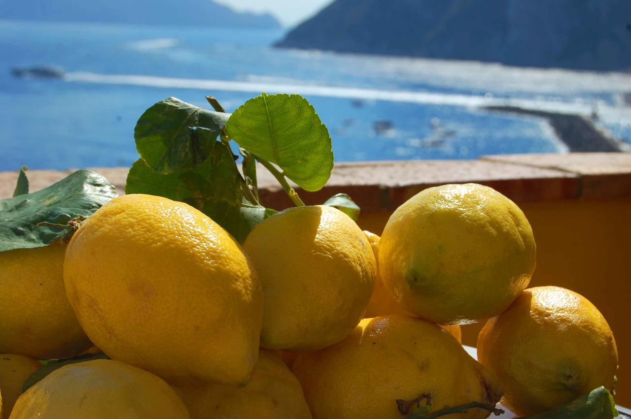 La Terrazza Sul Mare Bed & Breakfast Capri Eksteriør bilde