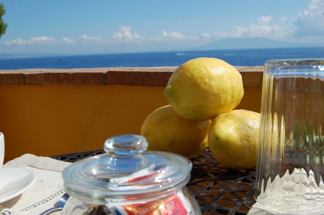 La Terrazza Sul Mare Bed & Breakfast Capri Eksteriør bilde