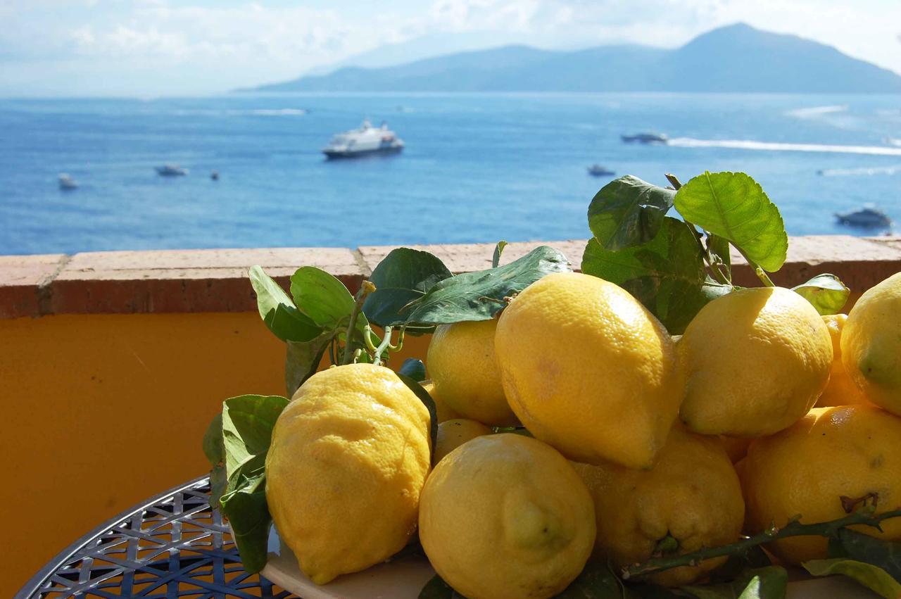 La Terrazza Sul Mare Bed & Breakfast Capri Eksteriør bilde