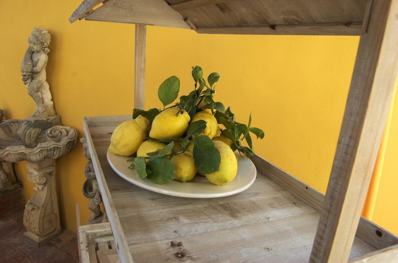 La Terrazza Sul Mare Bed & Breakfast Capri Eksteriør bilde